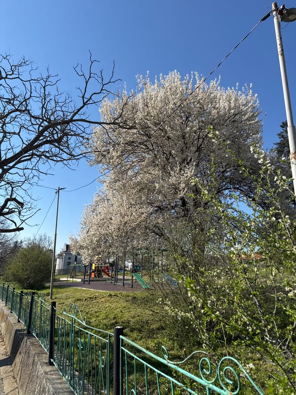 Spring morning playground scene documented in Konstantinovo, Bulgaria