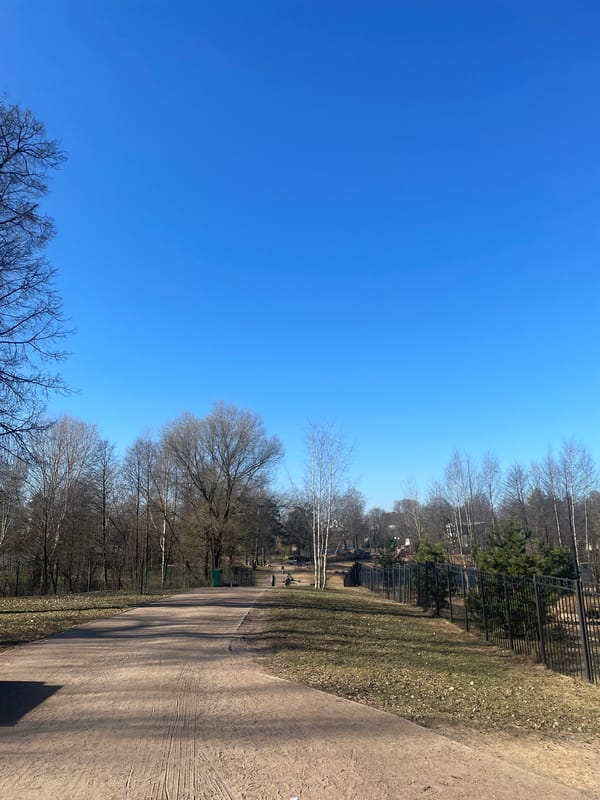 Morning park scenes captured in Saint Petersburg