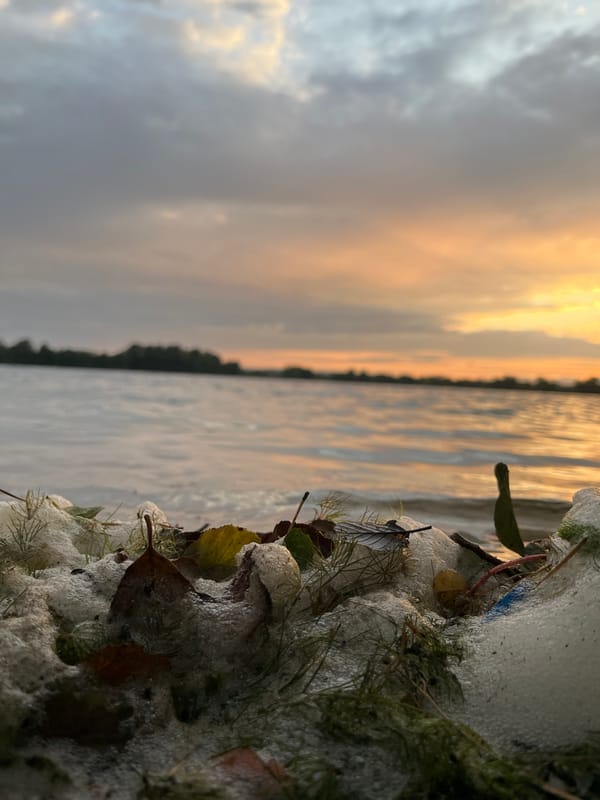 Sunset stroll at a muddy lakeside spot in Bezliudivka