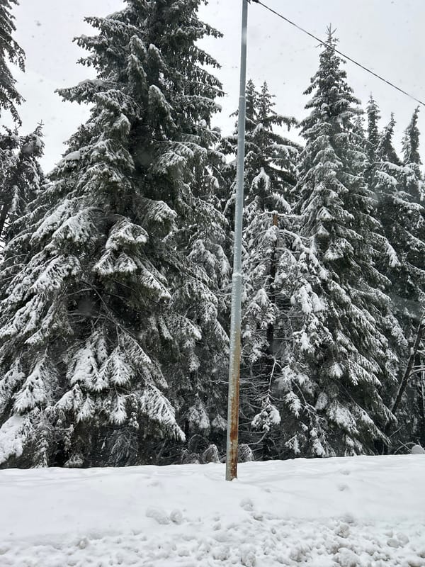Heavy spring snowfall blankets Pamporovo Bulgaria ski resort