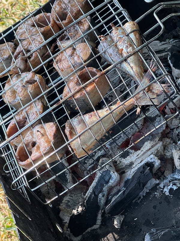 Summer day at a Belarus lakeside — grilling fish, wildflowers, beach