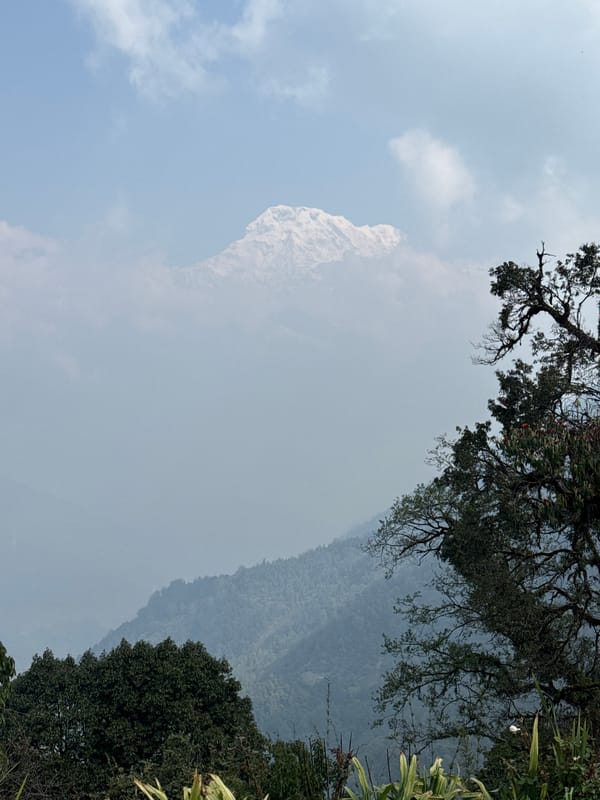 Mountain mist and forest canopy observed in Nepal