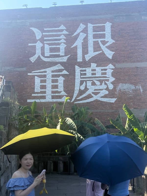 Chongqing's Nan'an District: rooftops, river bridges, and tourist murals