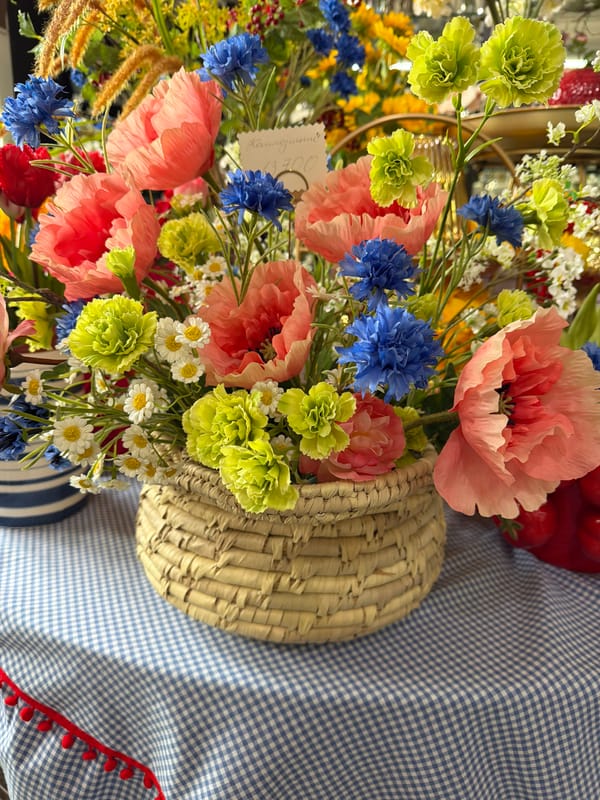 Cats rest on leopard-print bedding in Votkinsk