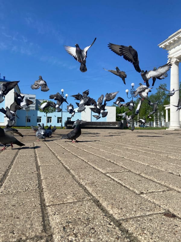 Early morning life documented across Chaikovsky, Russia public spaces