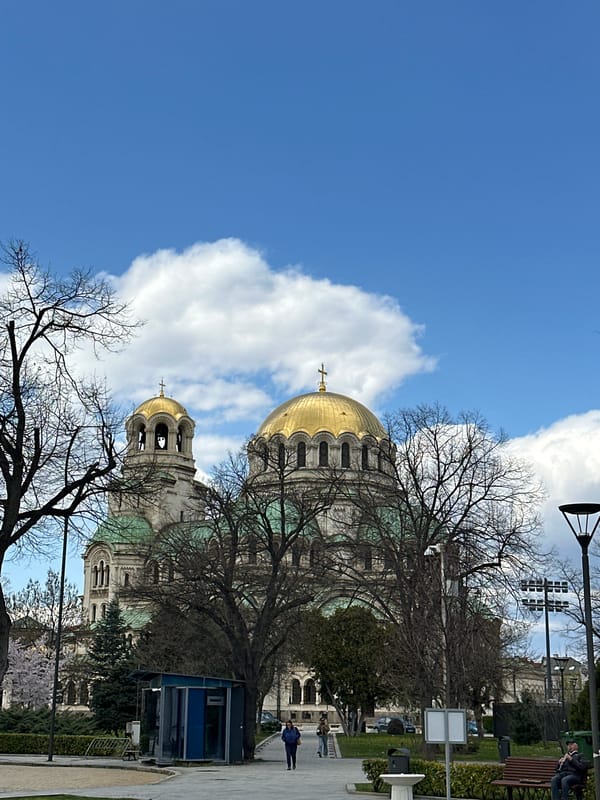 White Ferris wheel spotted amid spring blooms in Sofia