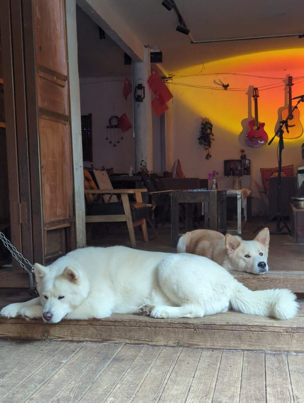 Dogs, dragon statues, and paper-cut art in Gucheng District