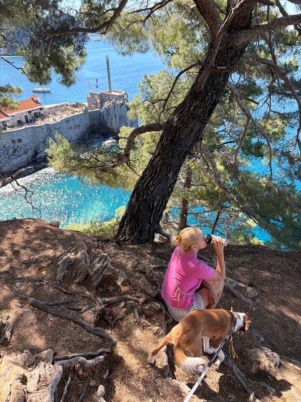 Morning clifftop dog walk documented in coastal Montenegro