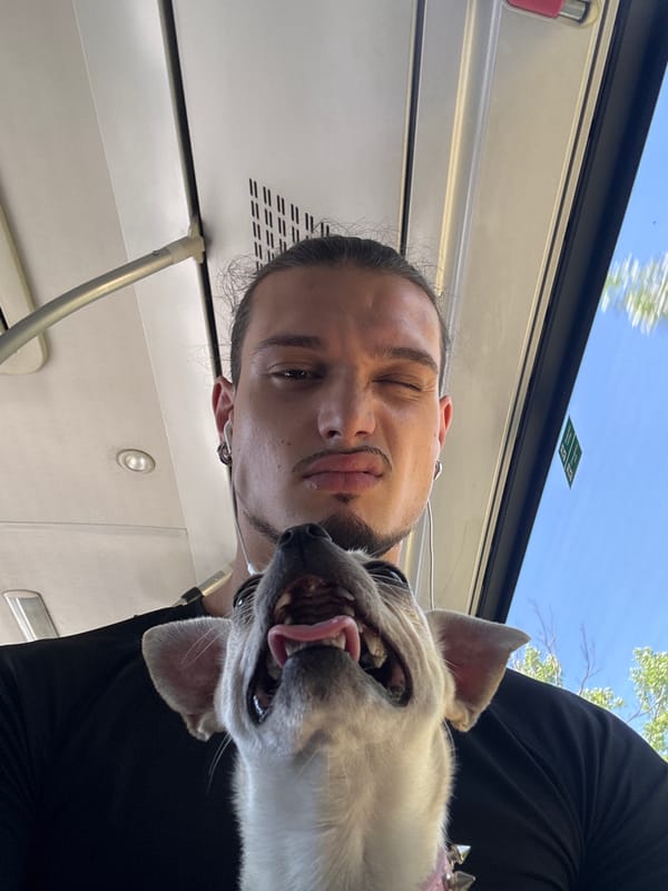 Selfie moment on Sofia public transit