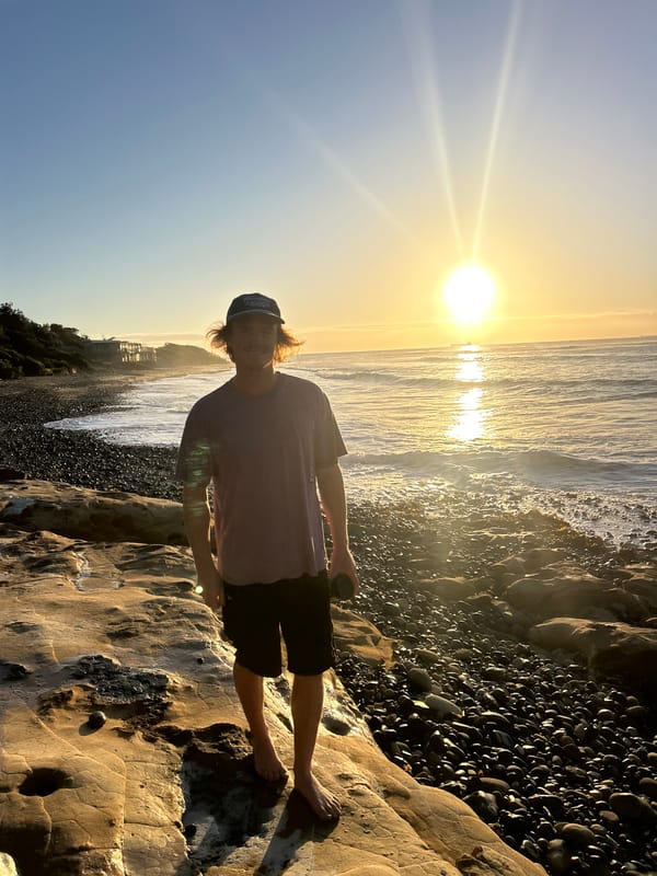 Woman films selfie video while walking dog in Bulli