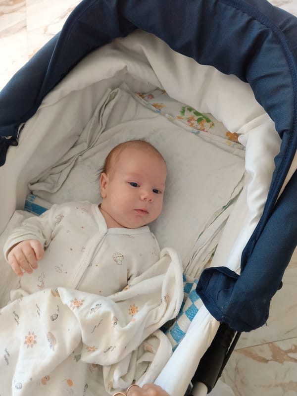 Baby spotted in stroller during morning in Andreyevo, Russia