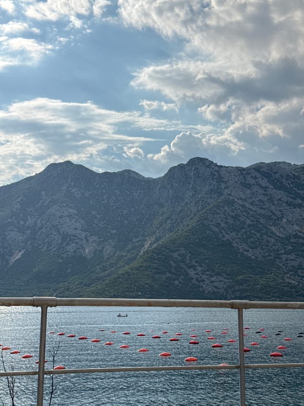 Bay of Kotor from the Risan waterfront, buoys and mountains
