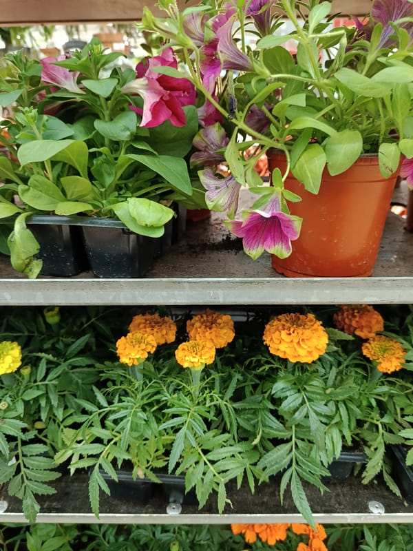 Morning retail documentation across multiple Moscow commercial locations