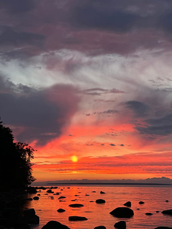 Baltic sunset over Tallinn's rocky shoreline, June 2026