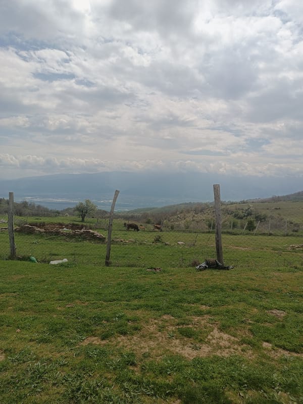 Rural landscape documented near Gyurgevo, Bulgaria