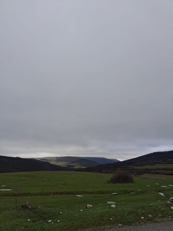 Wet weather creates standing water in Gradets Bulgaria fields