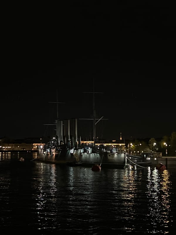 Nighttime illumination captured along Saint Petersburg's Neva River embankment