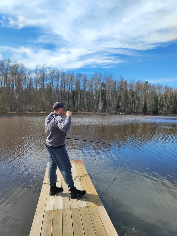 Spring outdoor moments captured across unknown location