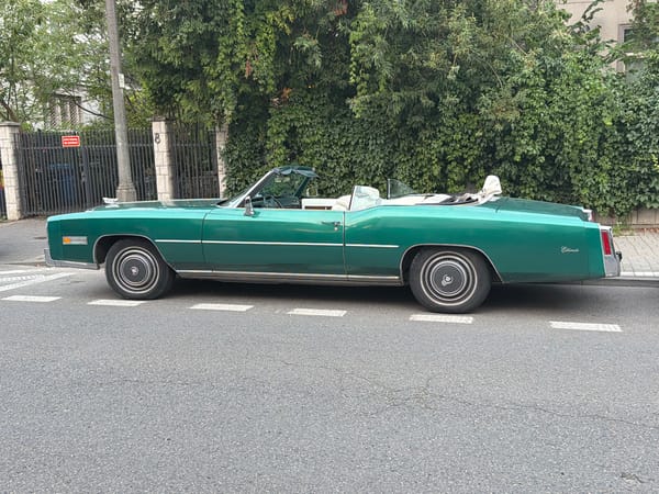 A Warsaw afternoon: classic car, blooming lily, kitchen stovetop