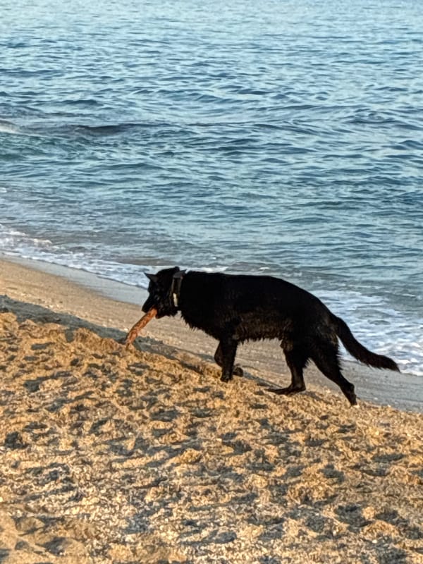 Friday afternoon beach life documented in Alanya, Turkey