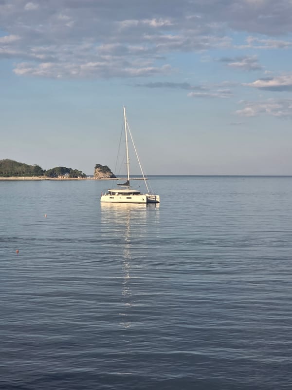Catamaran anchored off Budva, curious calico kitten nearby