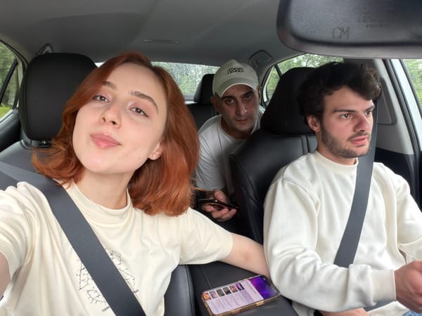 Three people observed in vehicle in Bashi, Georgia