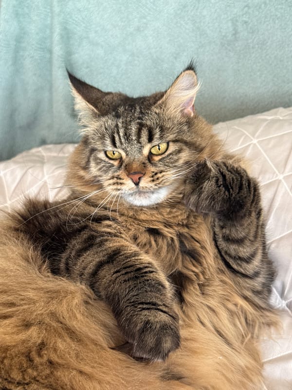 Social media activity including selfies and challenge hashtags in Izhevsk