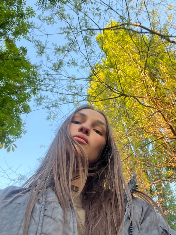 Everyday moments captured across Plovdiv: selfies, riverscape, cat sighting