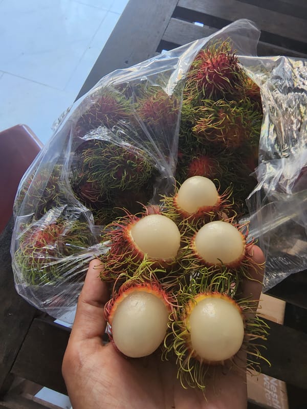 Late night fruit tasting and dessert sampling in Phan Thiet