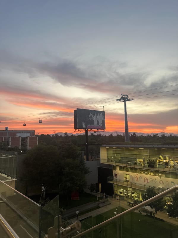 Mexico City sunset evening documented with people studying, drinking