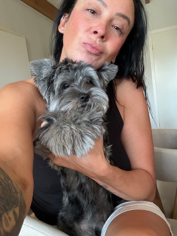 Lazy morning in at home with a schnauzer in Chaikovsky