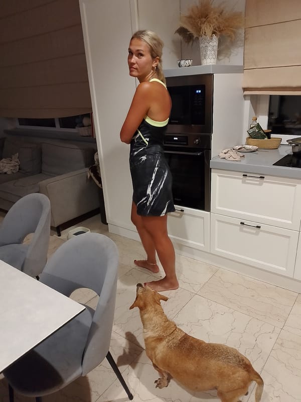 Fireflies, champagne glasses, and a dog in the kitchen