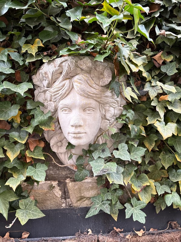 Garden Documentation Captured in Minsterley Village