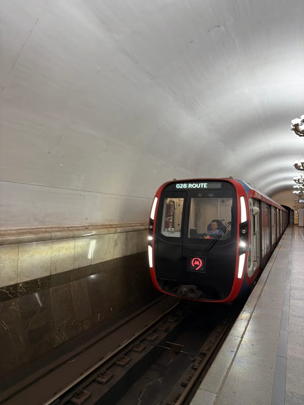 Moscow Metro commute captured through ornate station artwork
