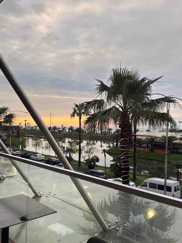 Evening moments captured in Batumi: sunset palms, decorated dogs