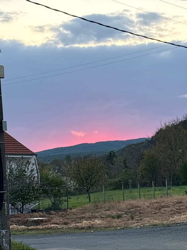 Small bird spotted squawking at dusk in Bulgarian village