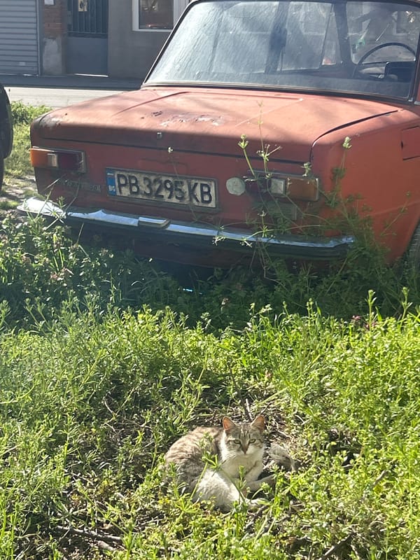 Urban decay scenes documented across Plovdiv, Bulgaria morning