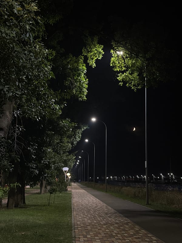Evening park walk with an orange crescent moon overhead
