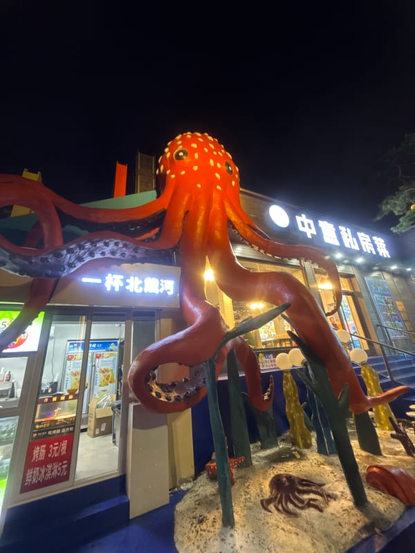Illuminated venue and octopus sculpture light up Qinhuangdao night