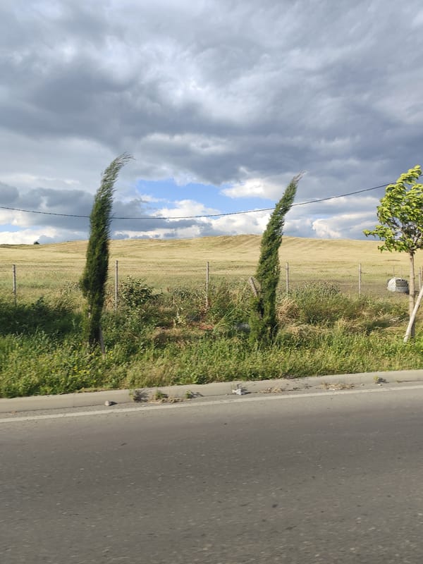 Roadside grass strip and wire fence along a paved road