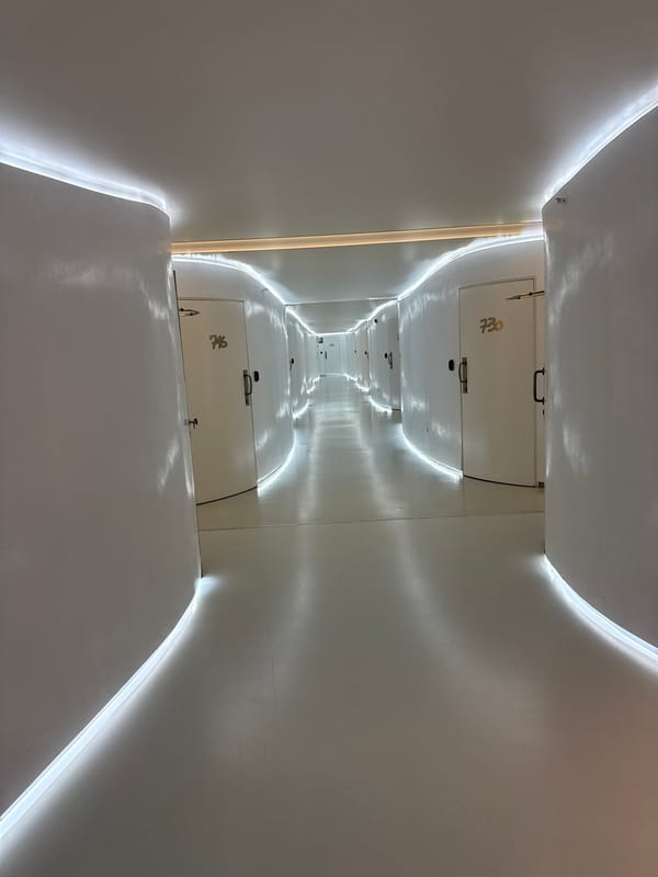 Inside a stylish Madrid hotel on a June evening