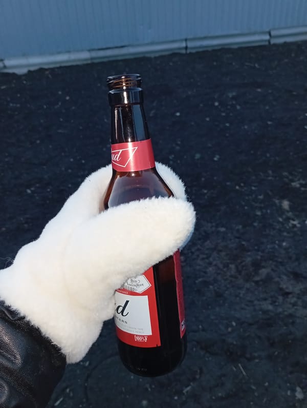 Everyday moments captured in Yurgamysh: beer, child, backyard chickens