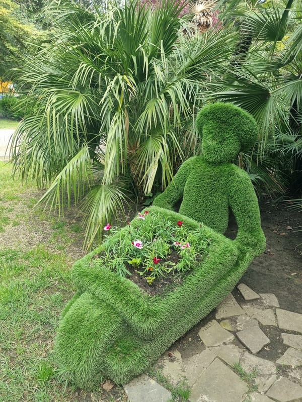 Morning stroll captures everyday Sochi park life and displays