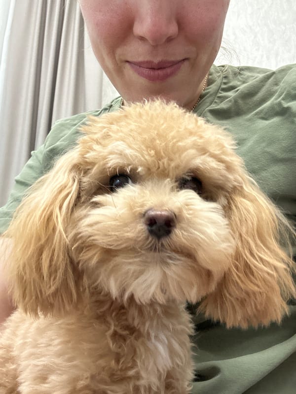 Person shares tender moments with small poodle in Russian village