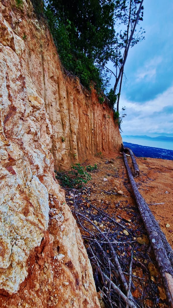 Hillside journey documented on Ko Samui coastal landscape