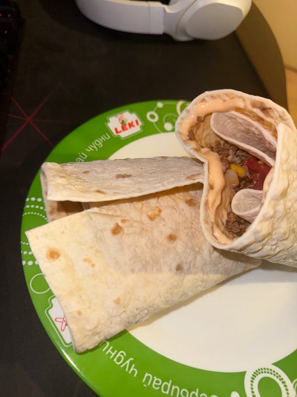 Half-eaten burrito captured on plate in Vratsa