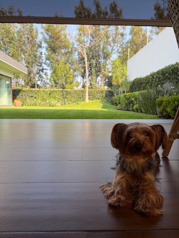Evening cooking and grocery shopping documented in Mexican town