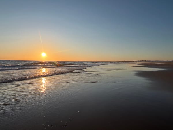 Dogs play in the surf at El Palmar during golden hour