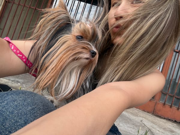 Woman and Yorkshire Terrier captured in casual moments, Sliven