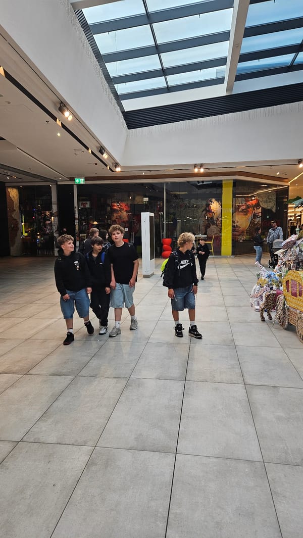 Recycled packaging art installation draws visitors at Slovak mall